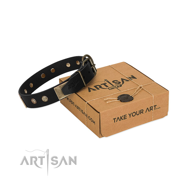 Corrosion resistant traditional buckle on dog collar for everyday walking