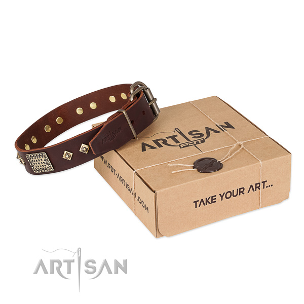 Incredible full grain leather collar for your beautiful doggie