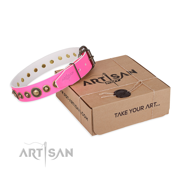 Quality genuine leather dog collar created for everyday use