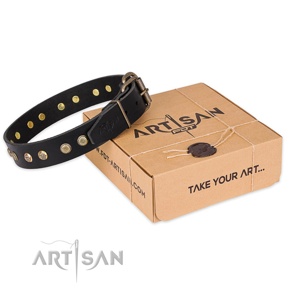 Rust resistant fittings on leather collar for your lovely dog