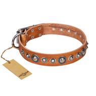 "Daily Chic" FDT Artisan Tan Leather dog Collar with Decorations "Daily Chic" FDT Artisan Tan Leather dog Collar with Decorations