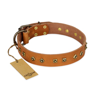 "Autumn Story" FDT Artisan Leather dog Collar with Old Bronze Look Studs "Autumn Story" FDT Artisan Leather dog Collar with Old Bronze Look Studs