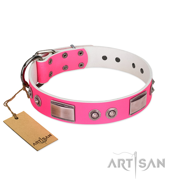 Amazing dog collar of genuine leather with adornments