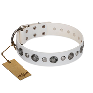 "Fluff-Stuff Beauty" FDT Artisan White Leather dog Collar with Silver-like Studs and Conchos "Fluff-Stuff Beauty" FDT Artisan White Leather dog Collar with Silver-like Studs and Conchos