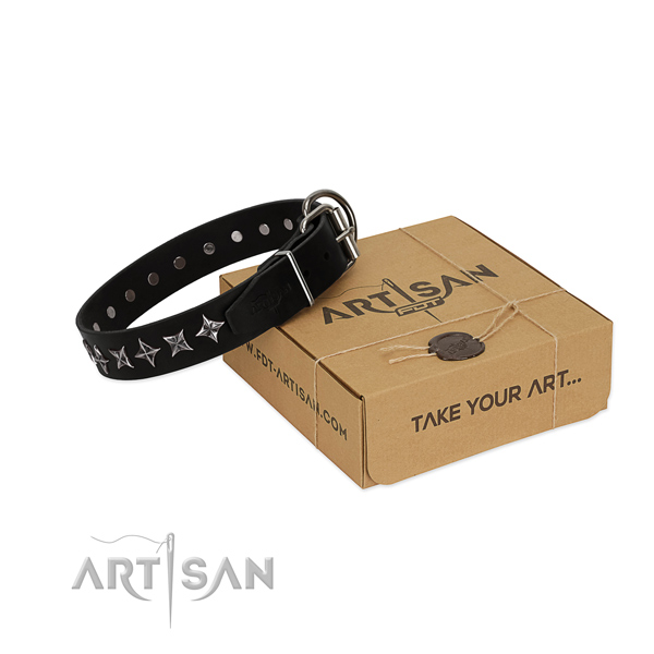 Basic training dog collar of high quality full grain leather with adornments