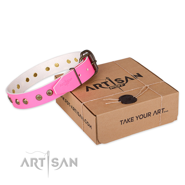 Reliable buckle on genuine leather collar for your beautiful four-legged friend