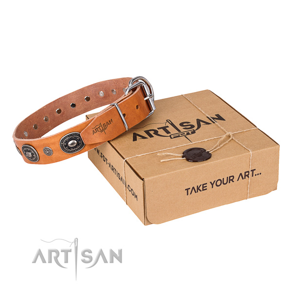 Reliable genuine leather dog collar made for everyday use