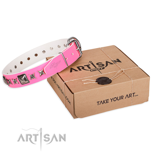 Fancy walking full grain genuine leather dog collar with embellishments