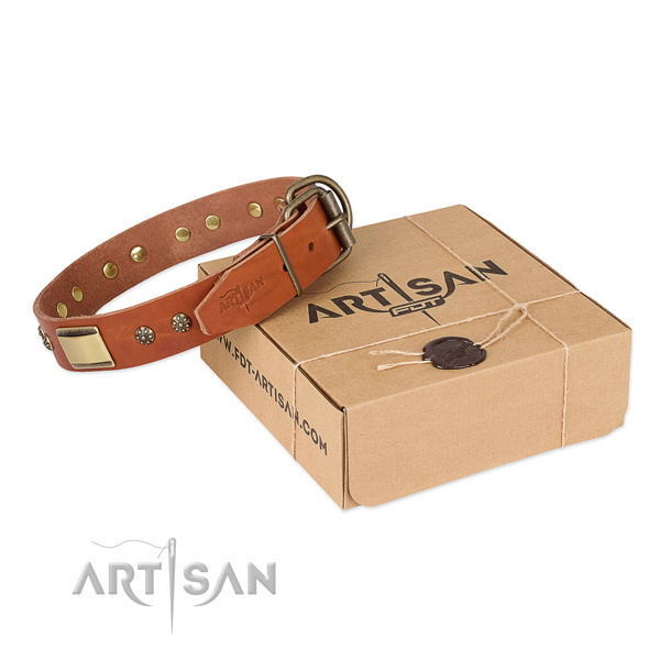 Incredible leather collar for your beautiful dog