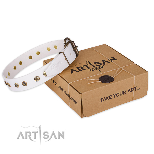 Strong buckle on leather collar for your stylish doggie
