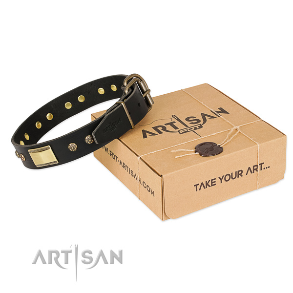 Unique leather collar for your beautiful canine