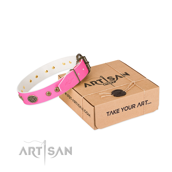 Reliable embellishments on full grain leather dog collar for your dog