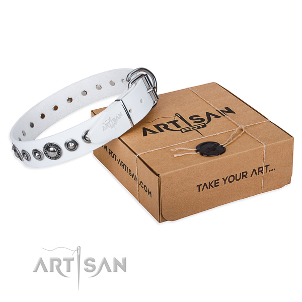 Full grain natural leather dog collar made of quality material with rust-proof buckle