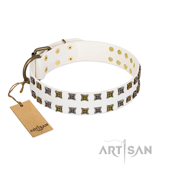 Quality full grain genuine leather dog collar with adornments for your canine