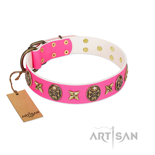 Leather dog collar with rust-proof decorations