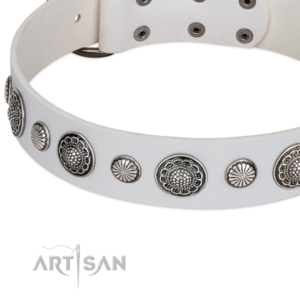 Leather collar with rust resistant traditional buckle for your stylish doggie