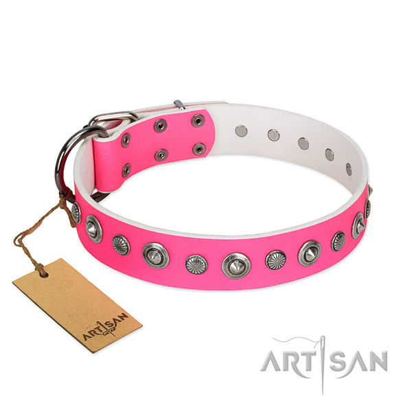 Top quality natural leather dog collar with stunning studs