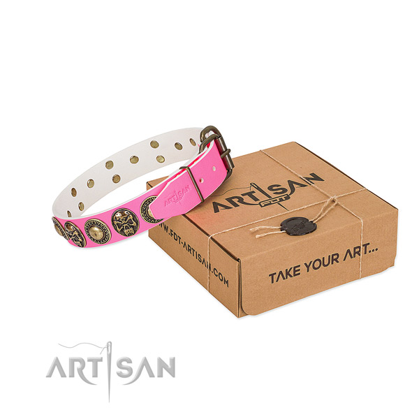 Reliable buckle on dog collar for stylish walking