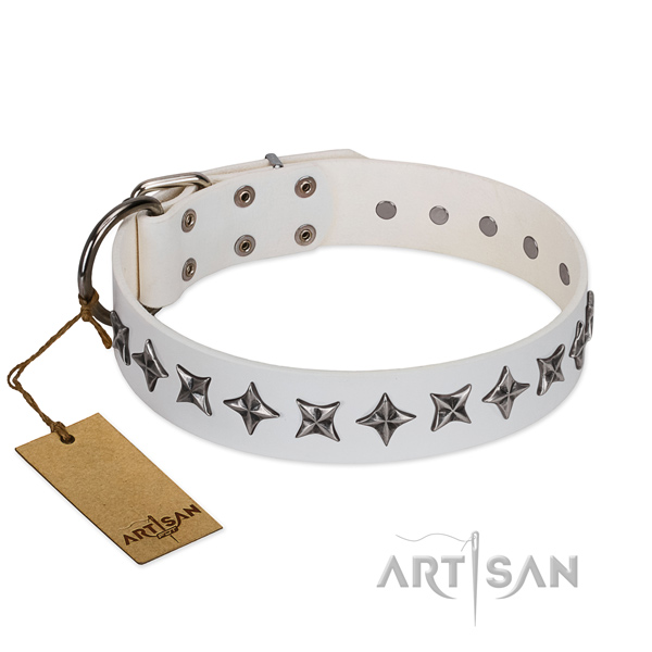 Daily use dog collar of finest quality full grain leather with adornments