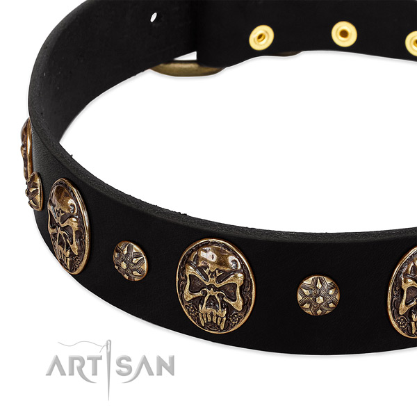 Rust resistant fittings on full grain leather dog collar for your four-legged friend