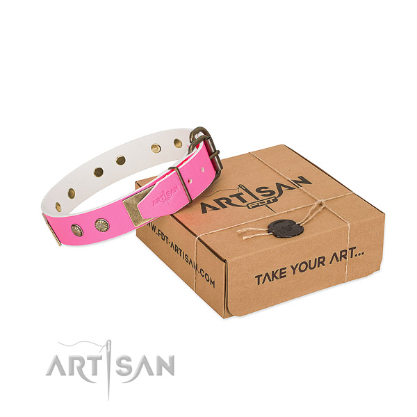 Strong traditional buckle on dog collar for stylish walking