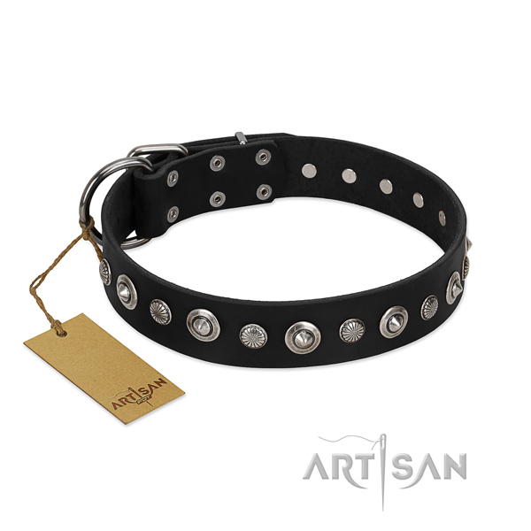 High quality genuine leather dog collar with fashionable adornments