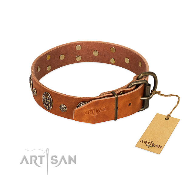 Corrosion resistant decorations on full grain genuine leather dog collar for your four-legged friend