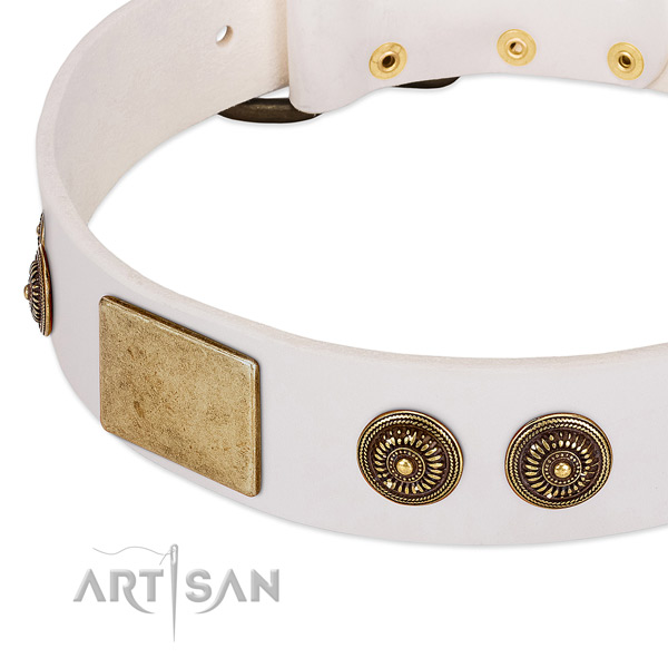 Easy to adjust dog collar crafted for your beautiful dog