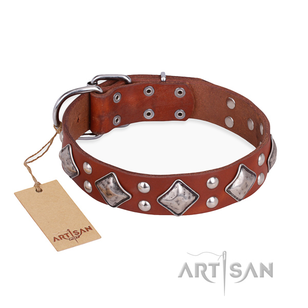 Comfortable wearing amazing dog collar with corrosion resistant traditional buckle