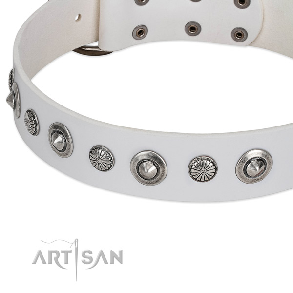 Full grain genuine leather collar with rust-proof fittings for your stylish pet