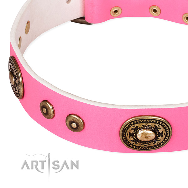 Full grain natural leather dog collar made of high quality material with adornments