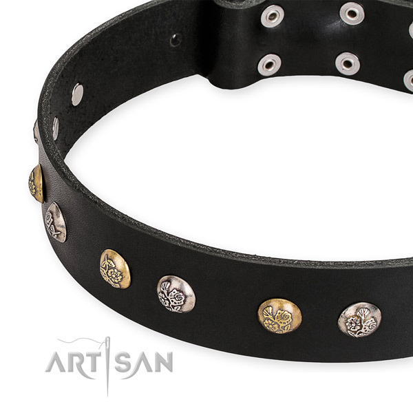 Leather dog collar with exquisite rust-proof embellishments