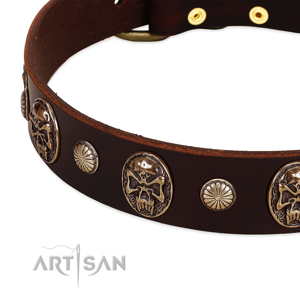 Full grain leather dog collar with embellishments for stylish walking
