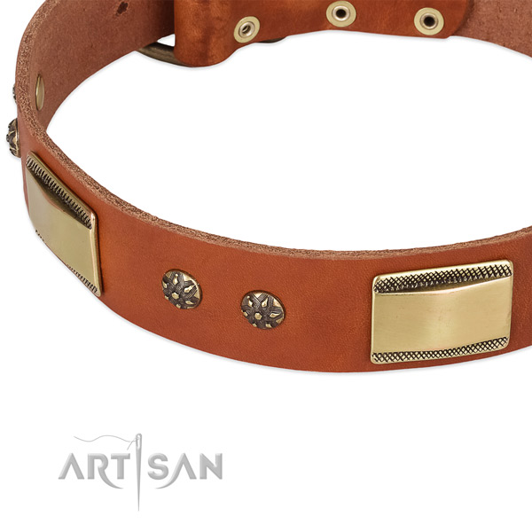 Rust-proof studs on full grain natural leather dog collar for your pet