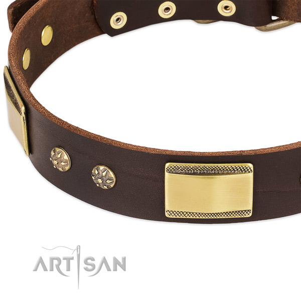 Rust resistant decorations on full grain genuine leather dog collar for your pet