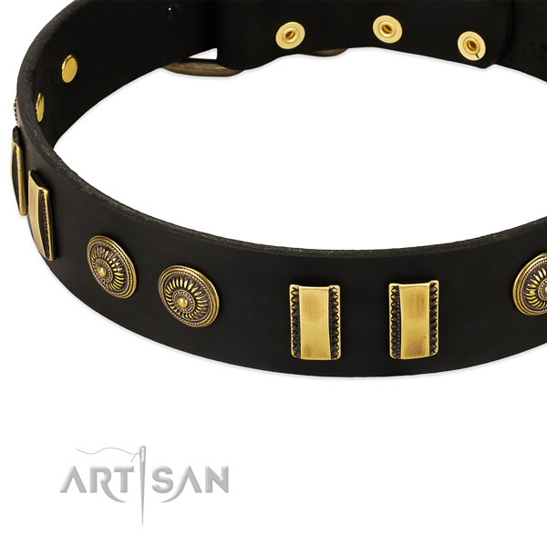 Corrosion proof traditional buckle on full grain leather dog collar for your pet