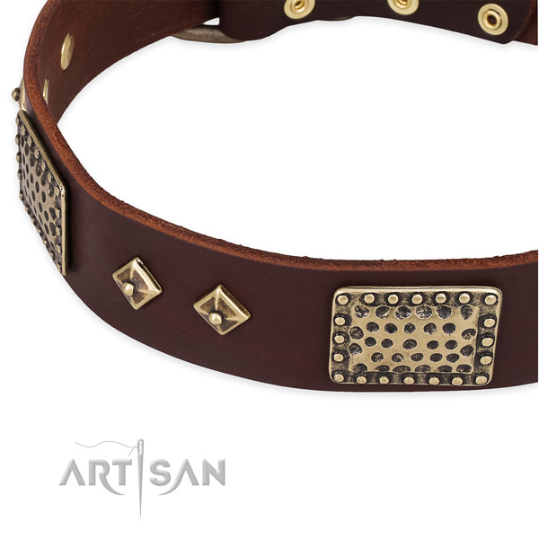 Reliable hardware on leather dog collar for your canine