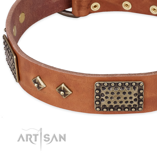 Reliable studs on genuine leather dog collar for your pet