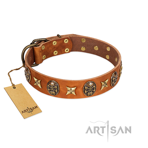 Unique full grain leather collar for your pet