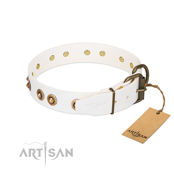 Rust resistant adornments on full grain genuine leather dog collar for your dog