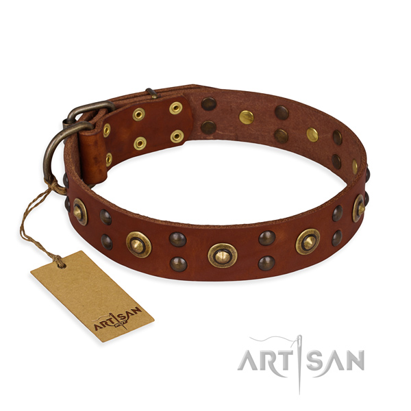 Adjustable full grain genuine leather dog collar with corrosion resistant fittings