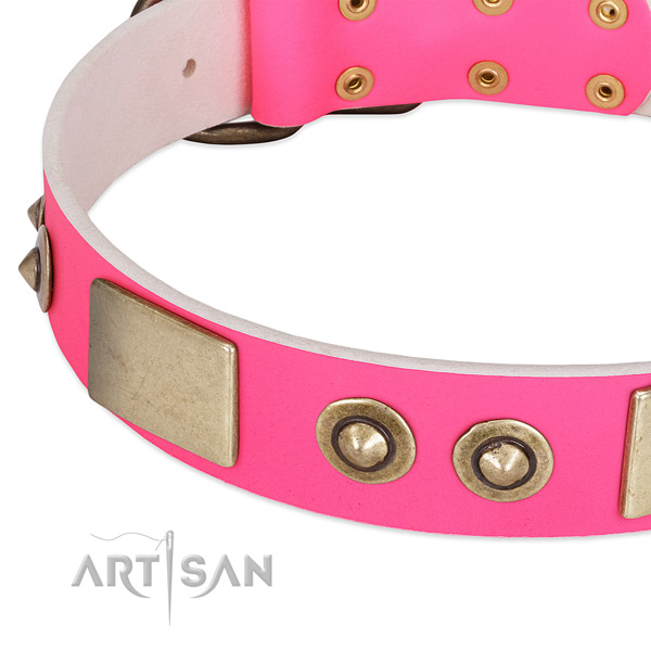 Rust resistant fittings on leather dog collar for your pet
