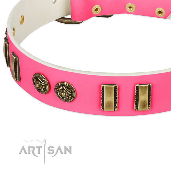 Strong decorations on genuine leather dog collar for your canine