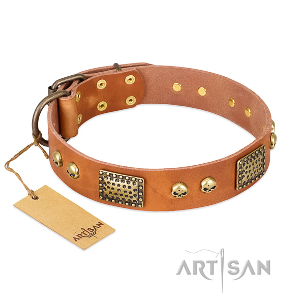 Easy wearing genuine leather dog collar for basic training your dog