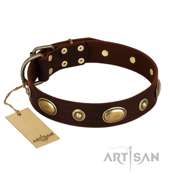 Stunning leather collar for your four-legged friend