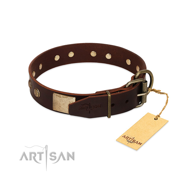 Reliable decorations on daily use dog collar