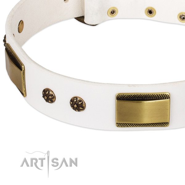 Durable buckle on genuine leather dog collar for your four-legged friend