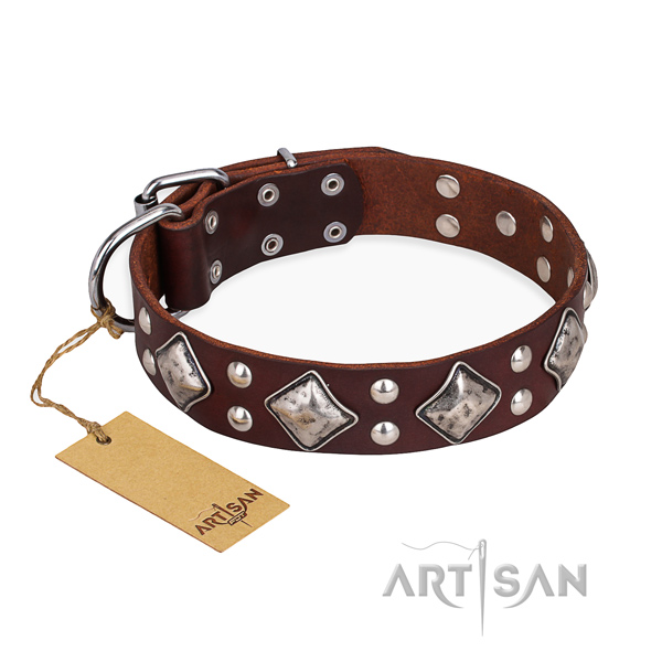 Stylish walking unique dog collar with corrosion proof traditional buckle