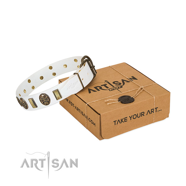 Reliable hardware on genuine leather dog collar for walking