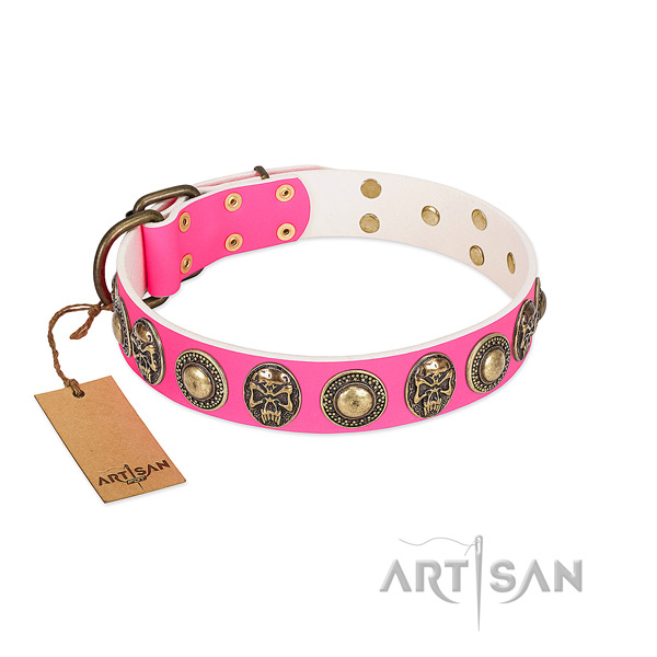 Easy wearing leather dog collar for basic training your pet